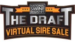 The Draft Virtual Sire Sale